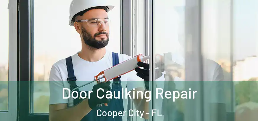  Door Caulking Repair Cooper City - FL