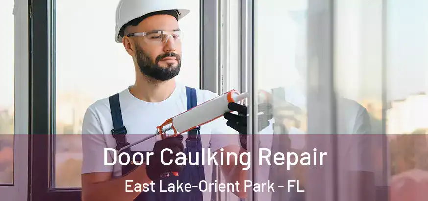 Door Caulking Repair East Lake-Orient Park - FL