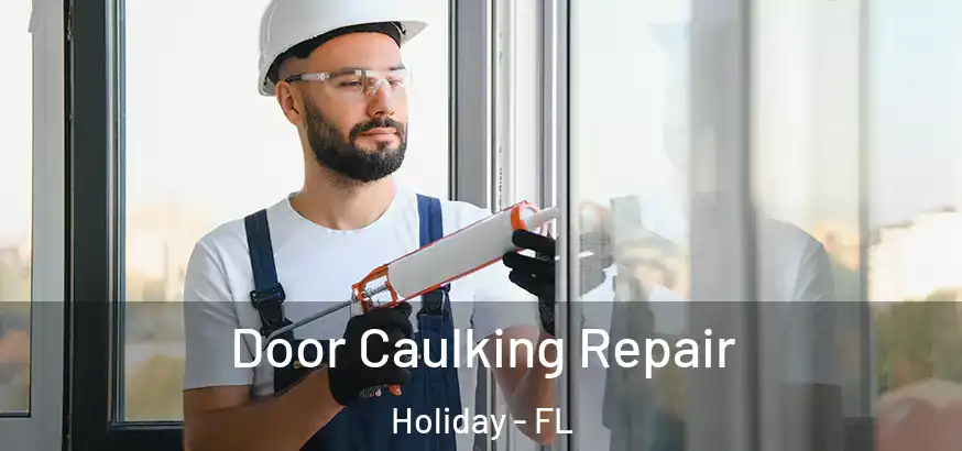  Door Caulking Repair Holiday - FL