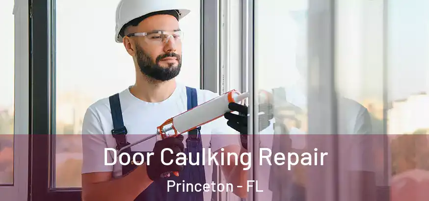  Door Caulking Repair Princeton - FL