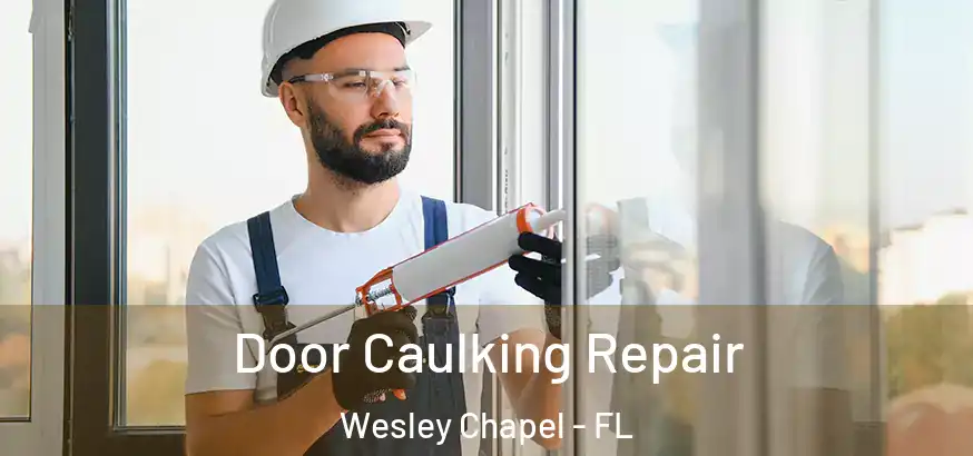  Door Caulking Repair Wesley Chapel - FL