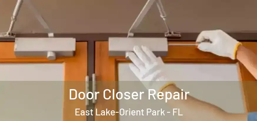  Door Closer Repair East Lake-Orient Park - FL