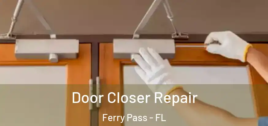  Door Closer Repair Ferry Pass - FL