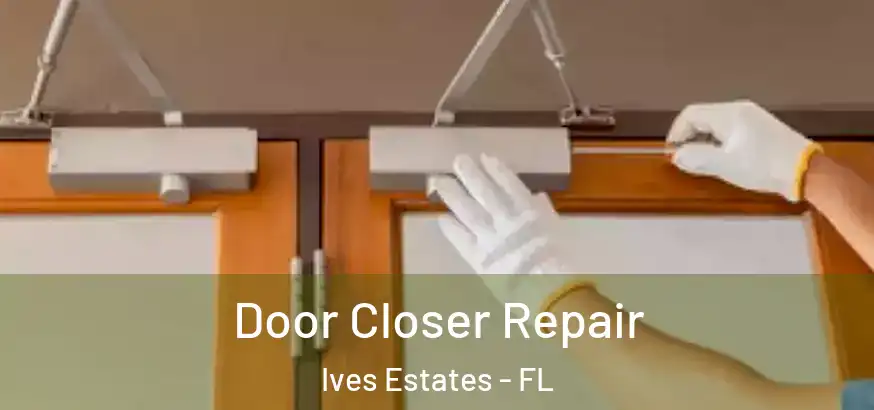 Door Closer Repair Ives Estates - FL