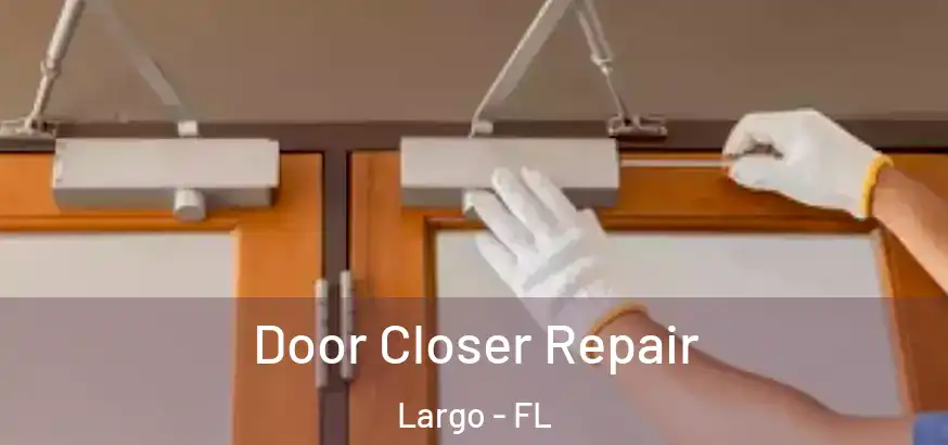  Door Closer Repair Largo - FL