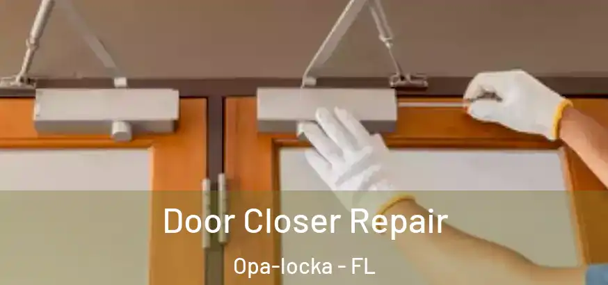  Door Closer Repair Opa-locka - FL