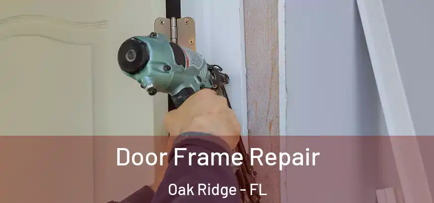  Door Frame Repair Oak Ridge - FL