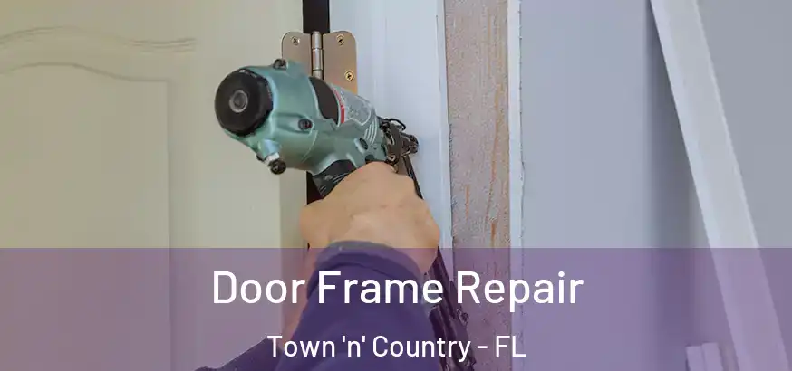  Door Frame Repair Town 'n' Country - FL