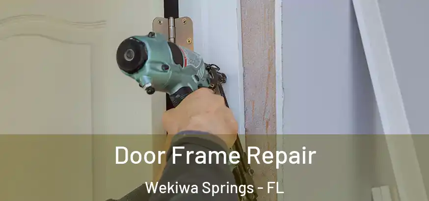 Door Frame Repair Wekiwa Springs - FL