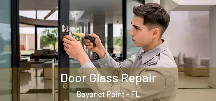  Door Glass Repair Bayonet Point - FL