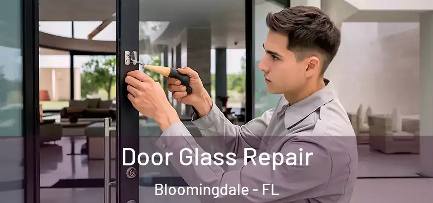  Door Glass Repair Bloomingdale - FL