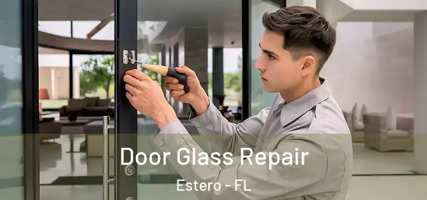  Door Glass Repair Estero - FL