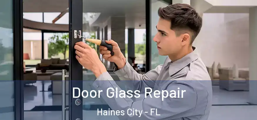  Door Glass Repair Haines City - FL