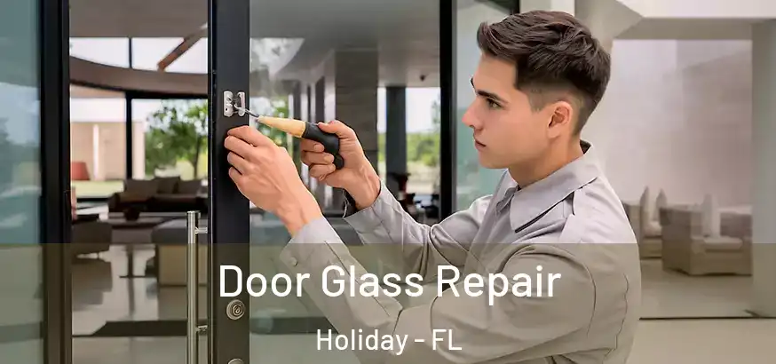  Door Glass Repair Holiday - FL