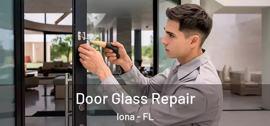  Door Glass Repair Iona - FL