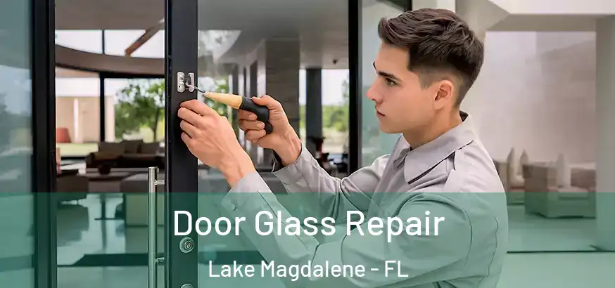  Door Glass Repair Lake Magdalene - FL