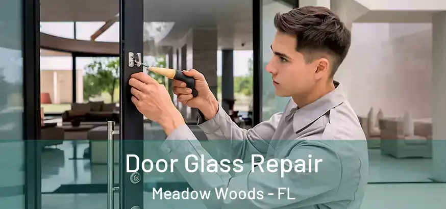  Door Glass Repair Meadow Woods - FL