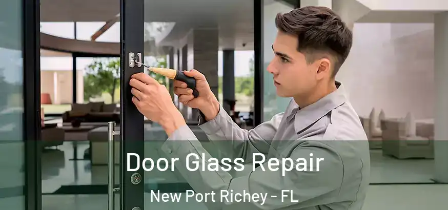  Door Glass Repair New Port Richey - FL