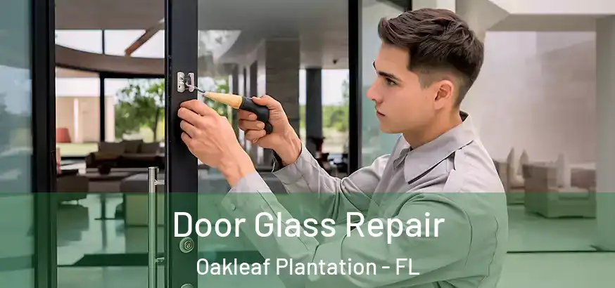  Door Glass Repair Oakleaf Plantation - FL