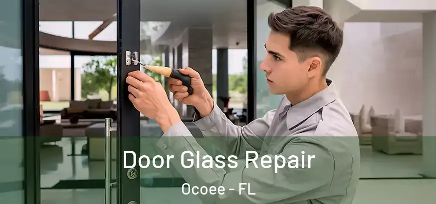 Door Glass Repair Ocoee - FL