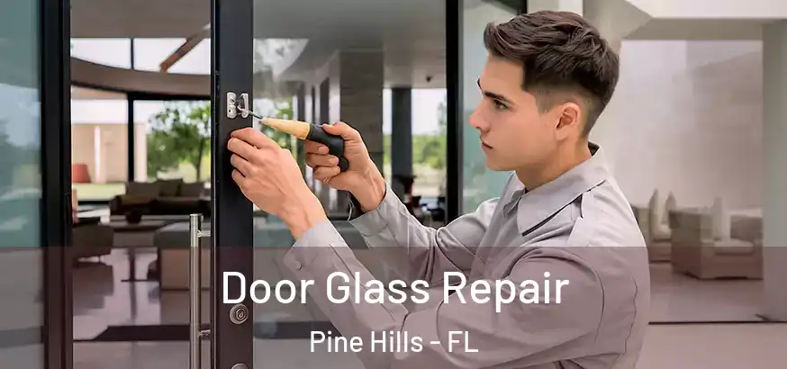 Door Glass Repair Pine Hills - FL
