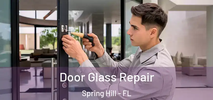  Door Glass Repair Spring Hill - FL