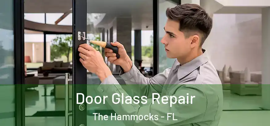  Door Glass Repair The Hammocks - FL