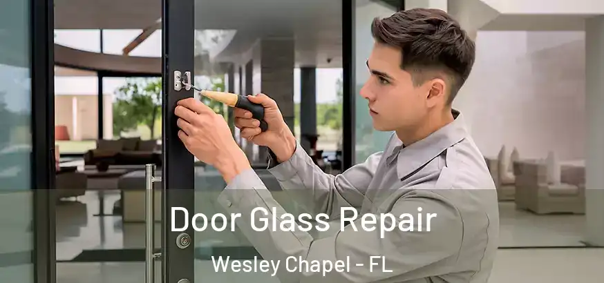  Door Glass Repair Wesley Chapel - FL