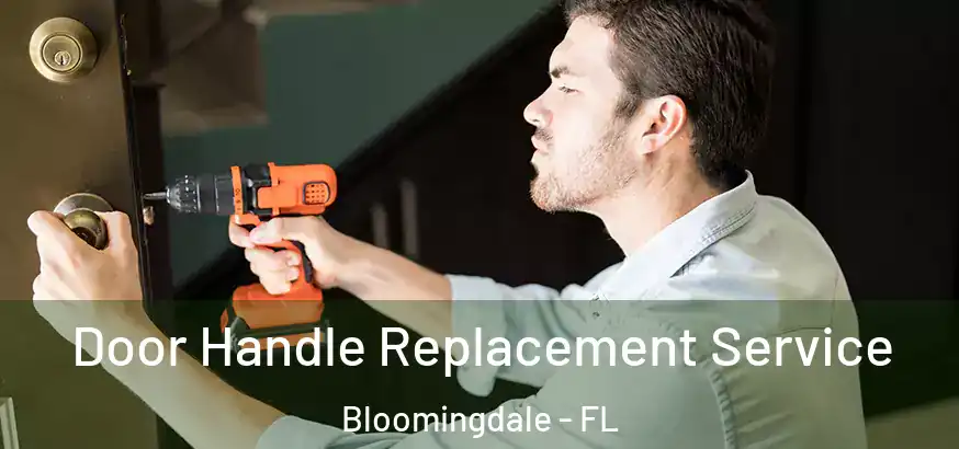 Door Handle Replacement Service Bloomingdale - FL