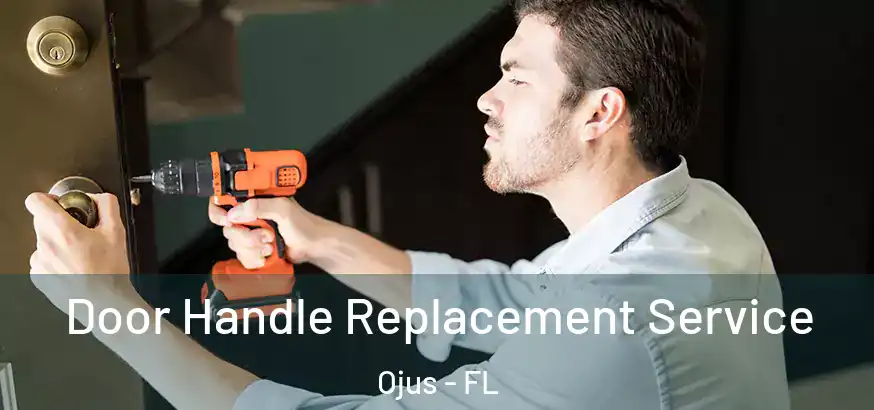  Door Handle Replacement Service Ojus - FL