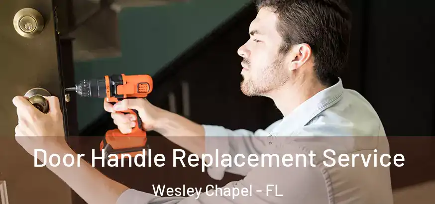  Door Handle Replacement Service Wesley Chapel - FL