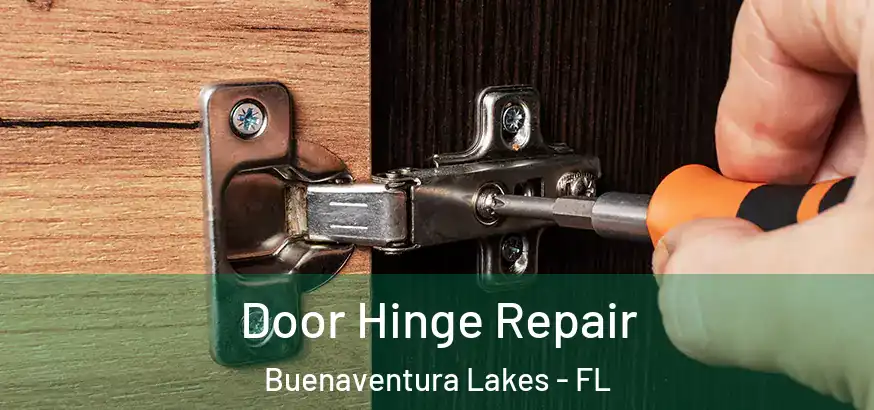  Door Hinge Repair Buenaventura Lakes - FL