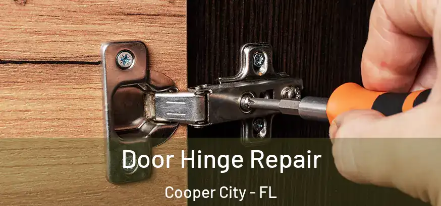  Door Hinge Repair Cooper City - FL