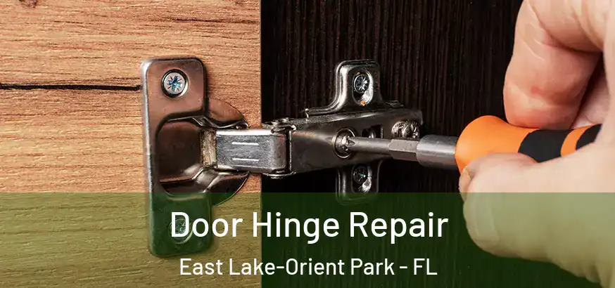  Door Hinge Repair East Lake-Orient Park - FL
