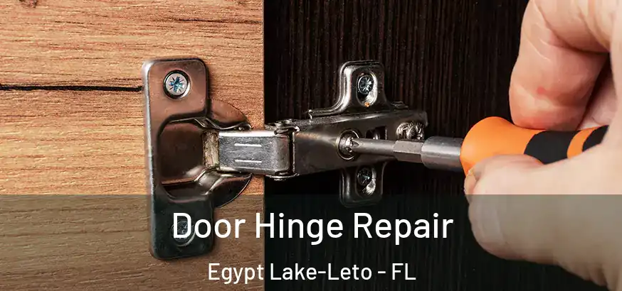  Door Hinge Repair Egypt Lake-Leto - FL