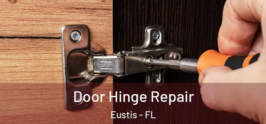  Door Hinge Repair Eustis - FL