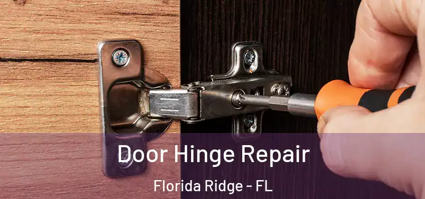  Door Hinge Repair Florida Ridge - FL