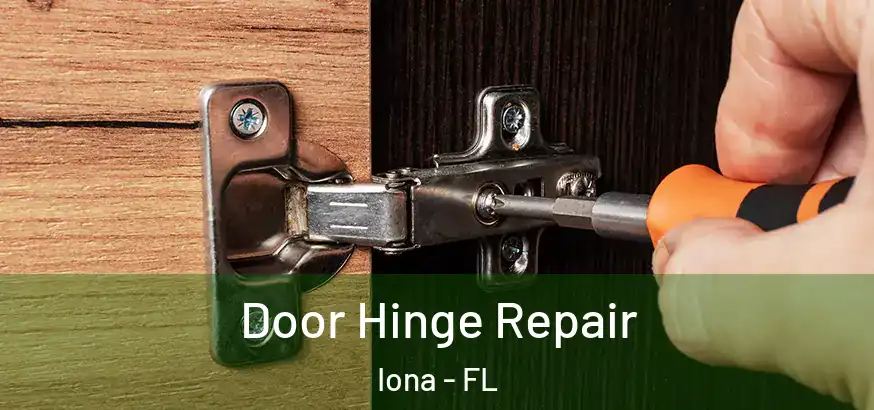 Door Hinge Repair Iona - FL
