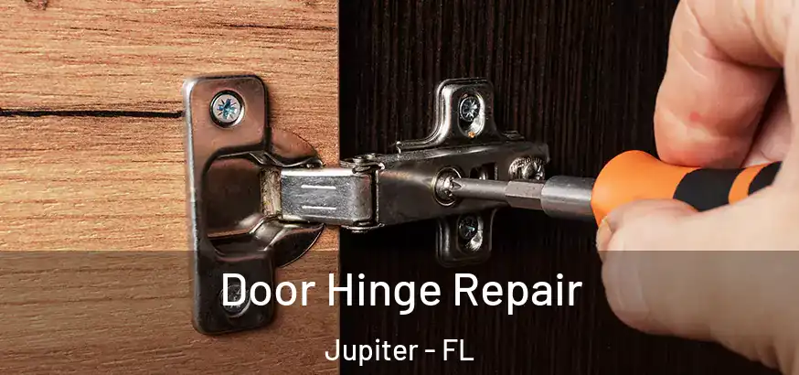  Door Hinge Repair Jupiter - FL