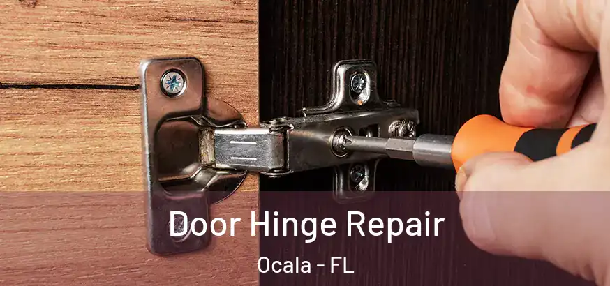 Door Hinge Repair Ocala - FL