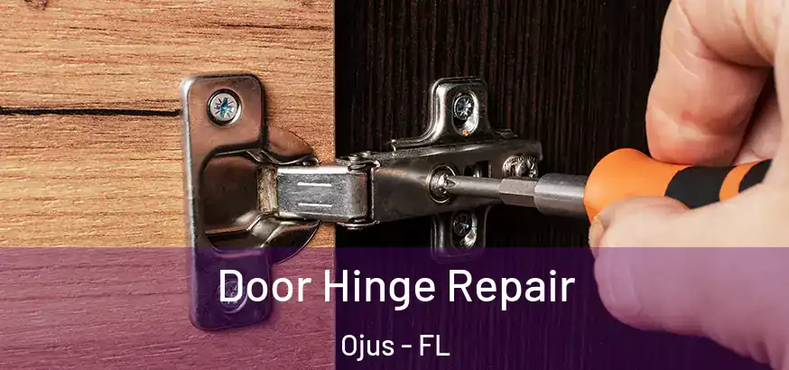 Door Hinge Repair Ojus - FL