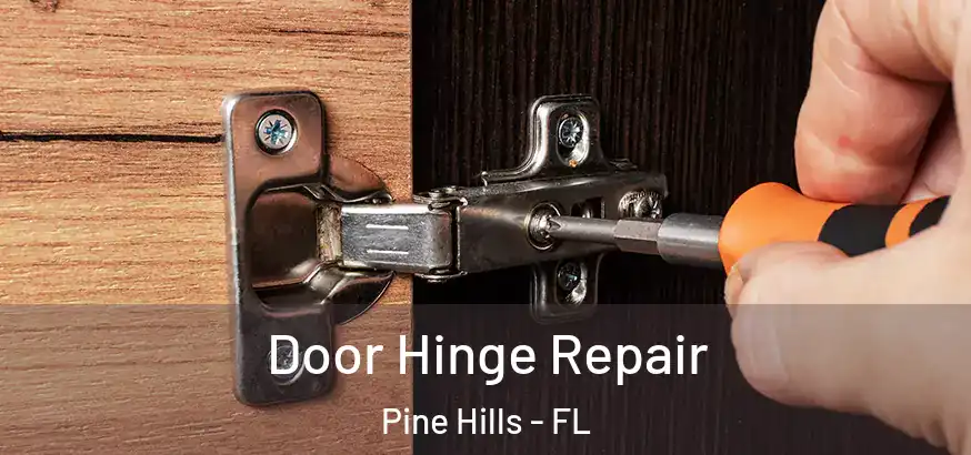  Door Hinge Repair Pine Hills - FL