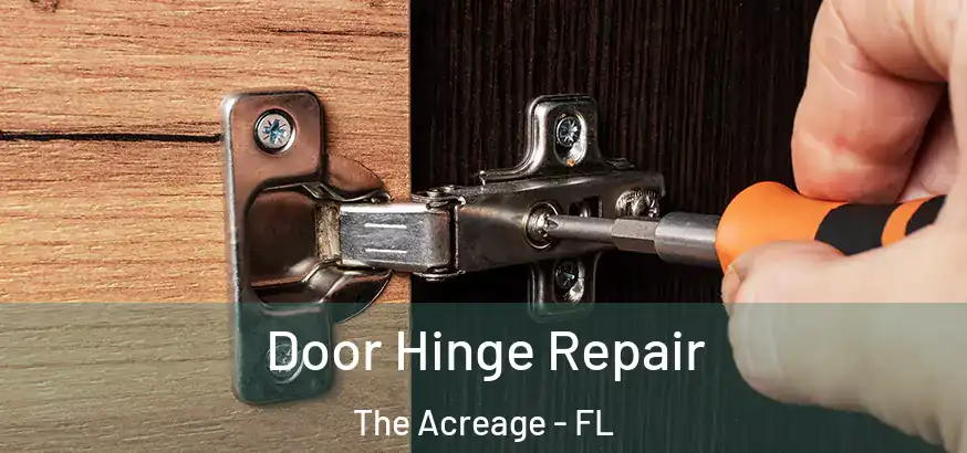  Door Hinge Repair The Acreage - FL