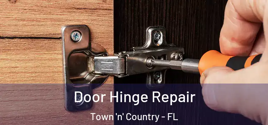  Door Hinge Repair Town 'n' Country - FL