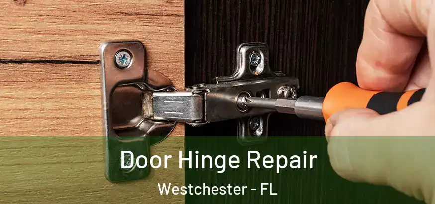  Door Hinge Repair Westchester - FL