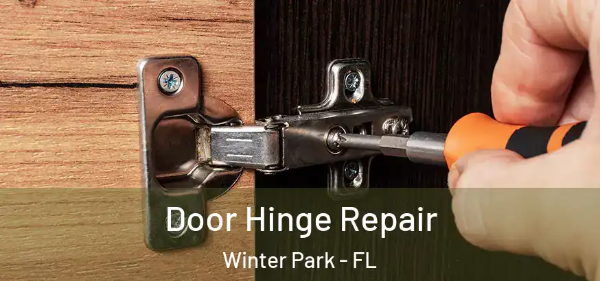  Door Hinge Repair Winter Park - FL