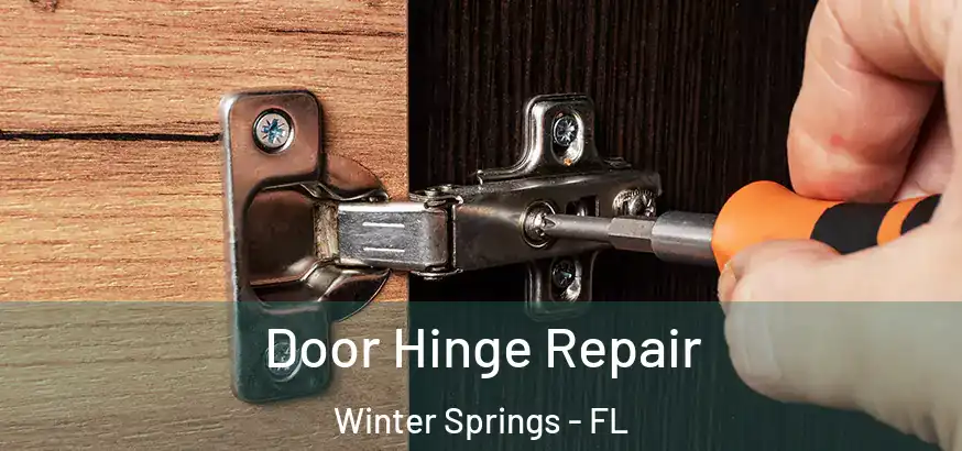  Door Hinge Repair Winter Springs - FL