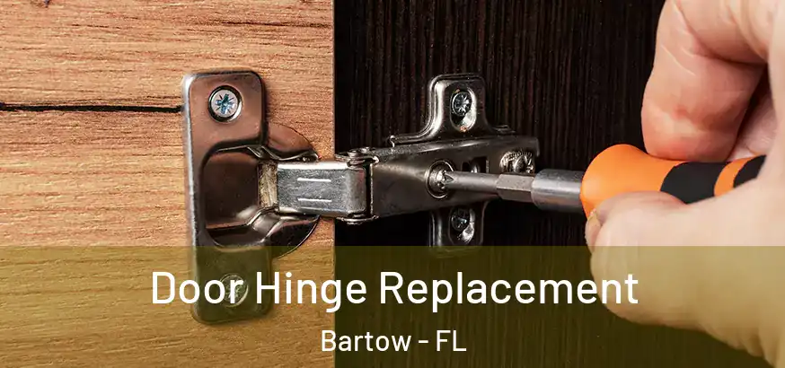  Door Hinge Replacement Bartow - FL