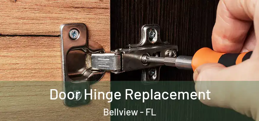  Door Hinge Replacement Bellview - FL