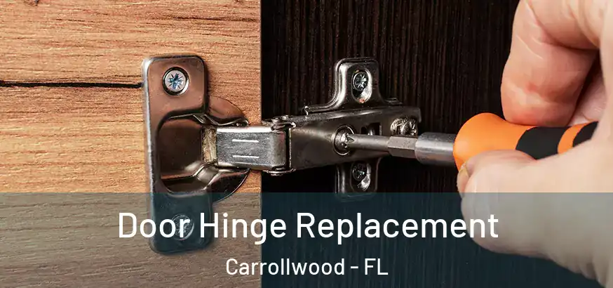 Door Hinge Replacement Carrollwood - FL